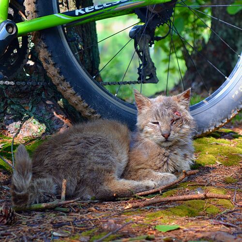 Photo #14028794