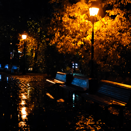 Photo #14028814