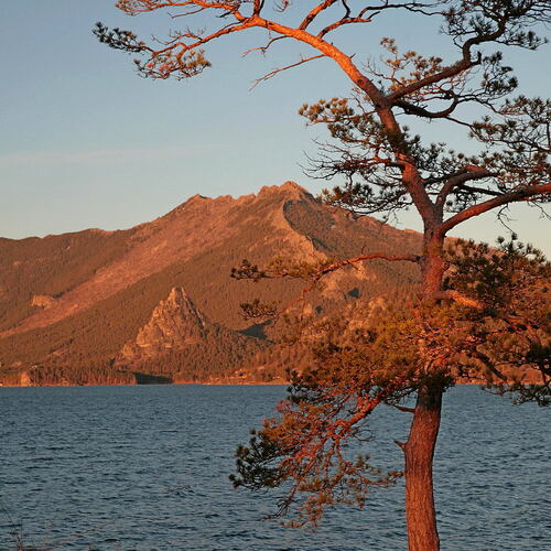 Photo #14028899