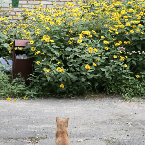 Photo #14028960
