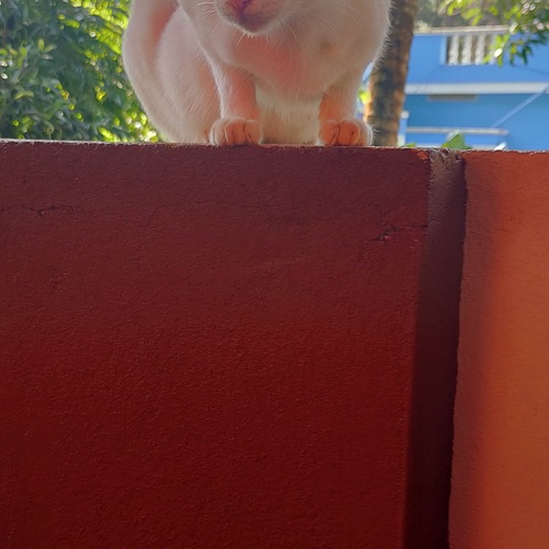 Photo #14029019