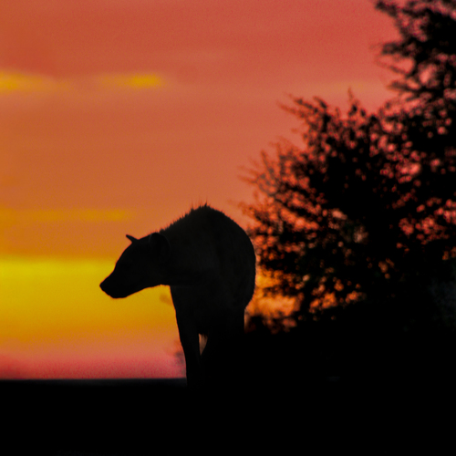 Photo #14029041