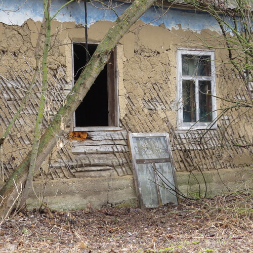 Photo #14029058