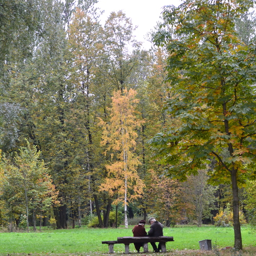 Photo #14029079