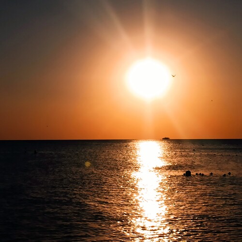 Photo #14029081