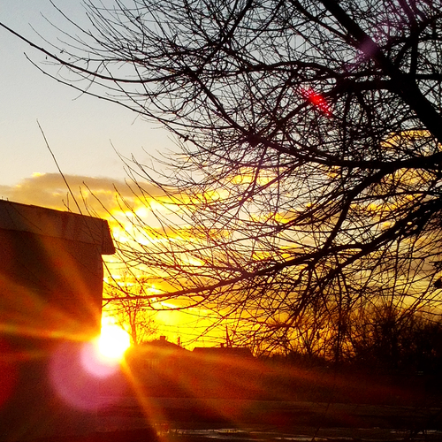 Photo #14029159