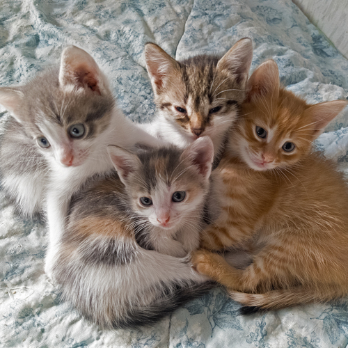 Photo #14029162