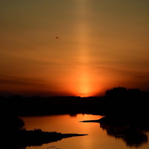 Photo #14029238