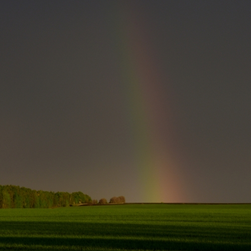 Photo #14029342