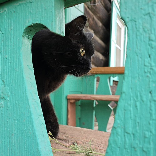 Photo #14029354