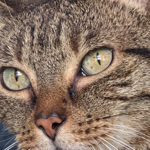 Photo #14029357