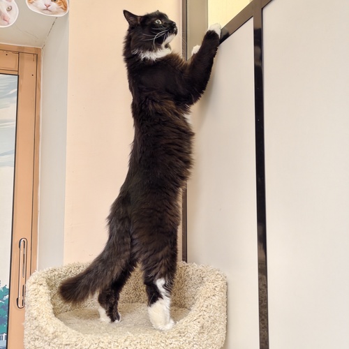 Photo #14029364