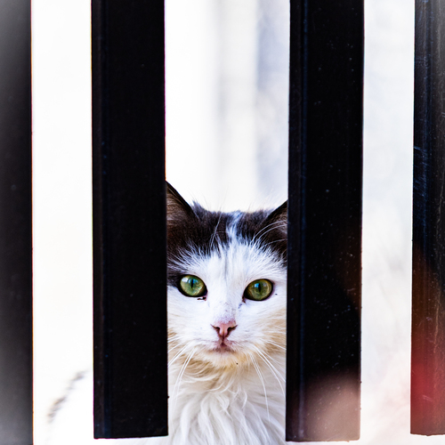 Photo #14029494