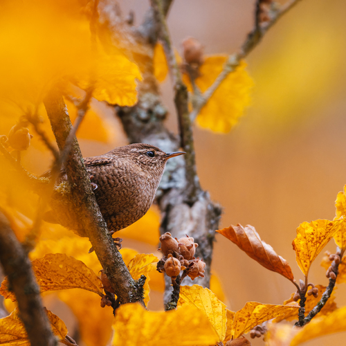 Photo #14029566