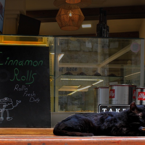 Photo #14029567