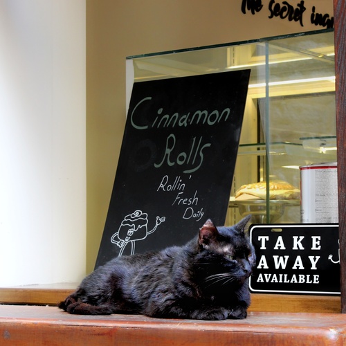 Photo #14029568
