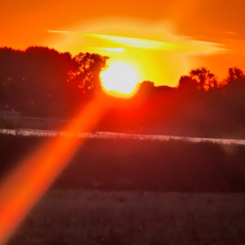 Photo #14029604