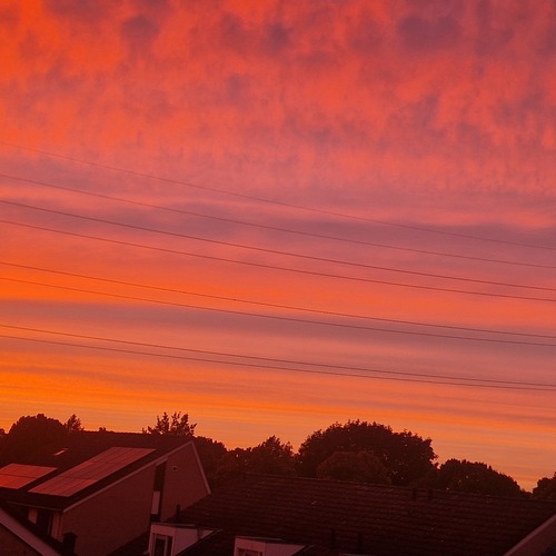 Photo #14029609