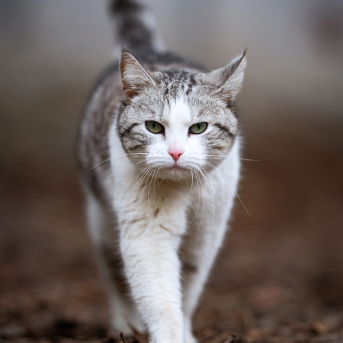 Photo #14029614