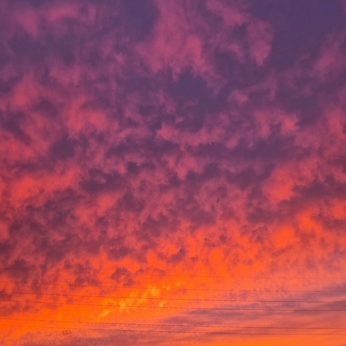 Photo #14029619