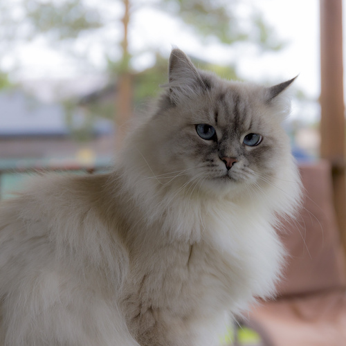 Photo #14029628
