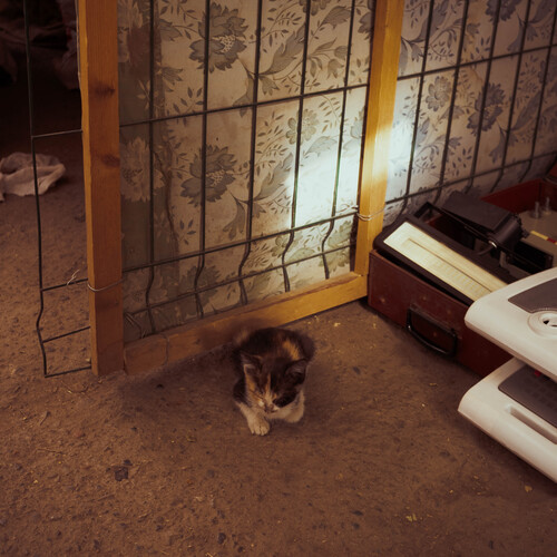 Photo #14029756