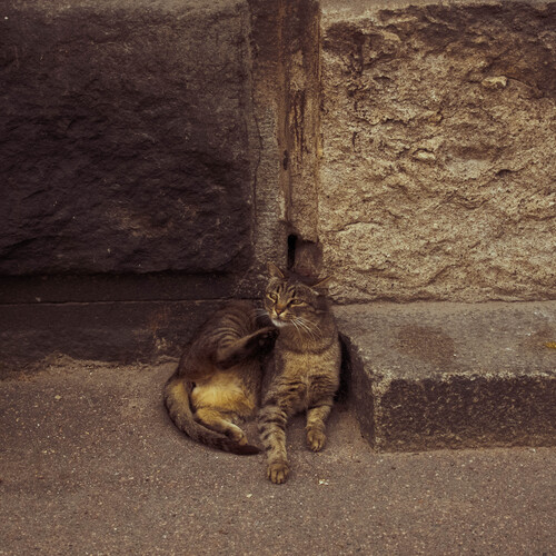 Photo #14029758