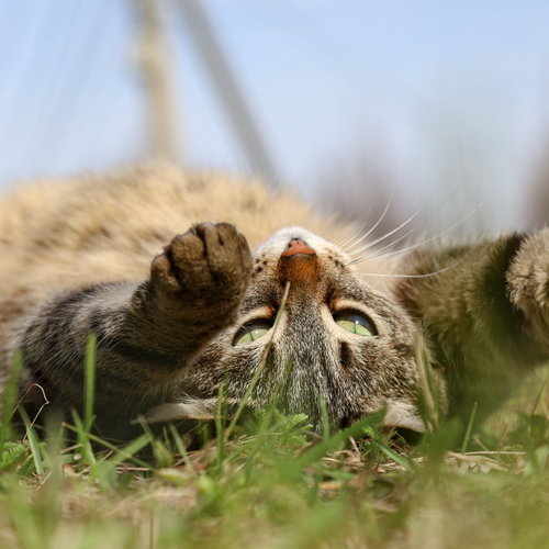 Photo #14029937