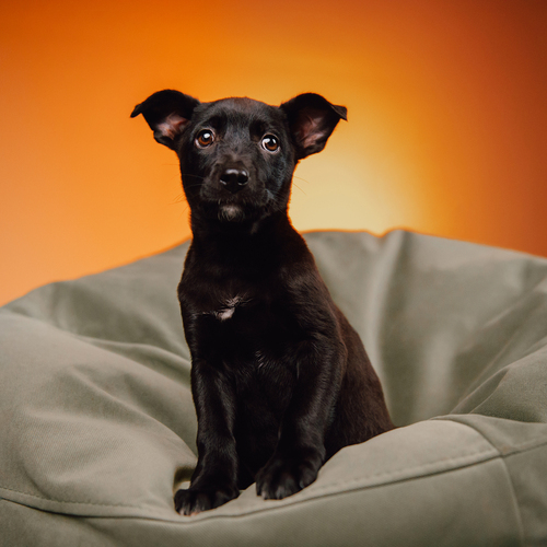 Photo #14029963
