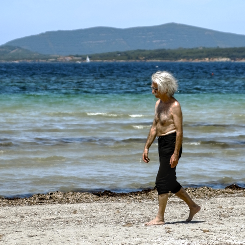 Photo #14029982