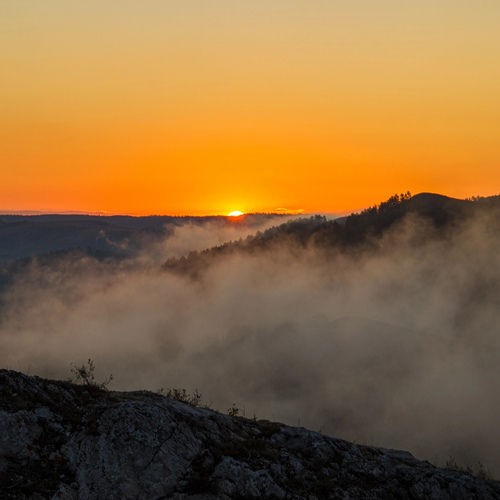 Photo #14029983