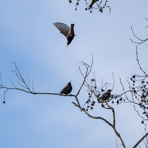 Photo #14030045