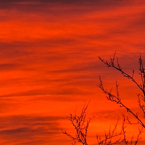 Photo #14030062