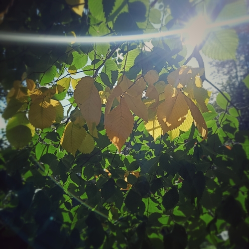 Photo #14030129