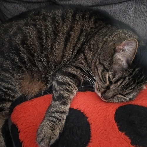 Photo #14030137