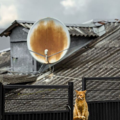 Photo #14030139