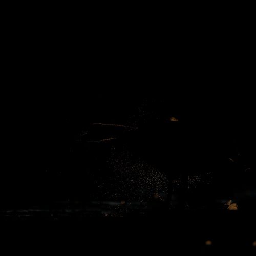 Photo #14030234