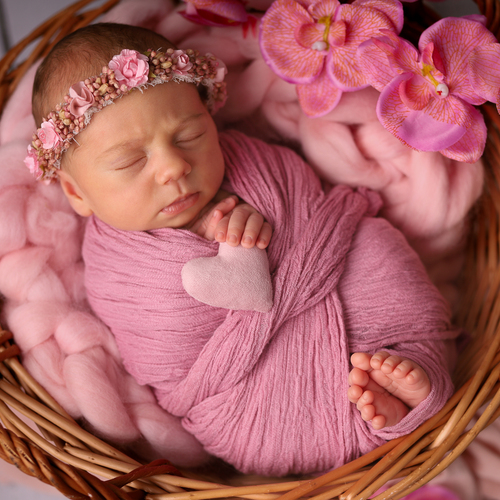 Photo #14030253