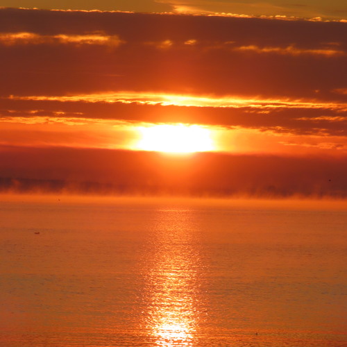 Photo #14030414