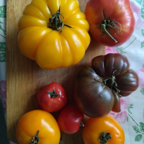 Photo #14030469