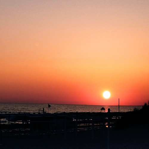 Photo #14030488
