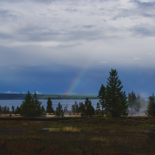 Photo #14030548