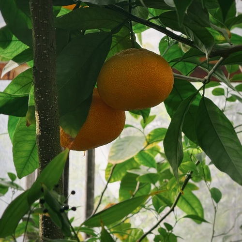 Photo #14030595