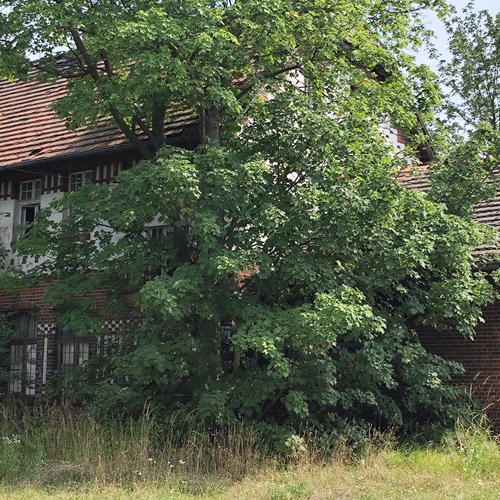 Photo #14030679