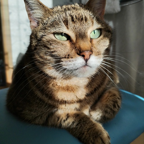 Photo #14030695