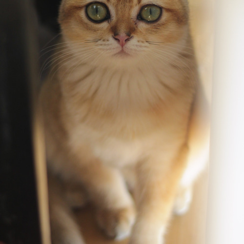 Photo #14030777