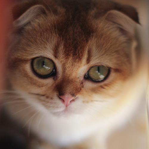Photo #14030778