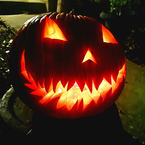 Photo #14030831
