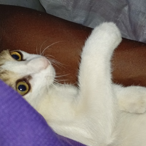 Caught In A Curious Moment