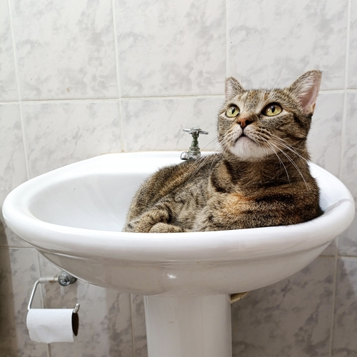 Photo #14030886
